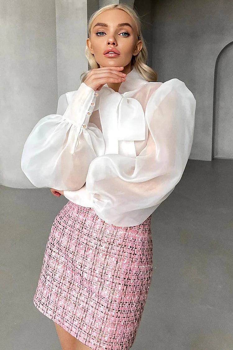 Blue Mesh Tie-Up Bow Lantern Sleeve Cover-Up Blouse - Isabella