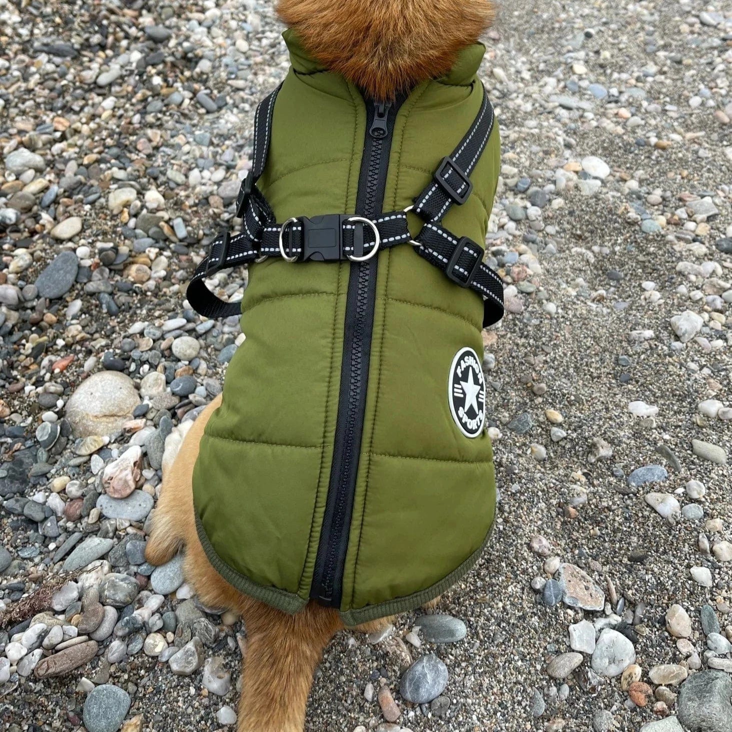 Puppy Puffer® - Geïsoleerde Honden Jas + Gratis Hondenriem
