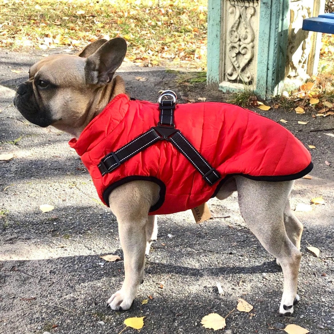 Puppy Puffer® - Geïsoleerde Honden Jas + Gratis Hondenriem