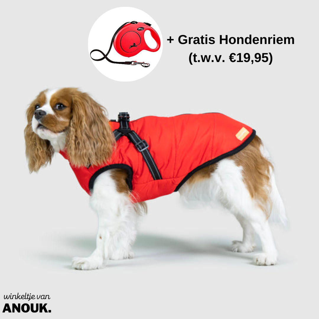 Puppy Puffer® - Geïsoleerde Honden Jas + Gratis Hondenriem