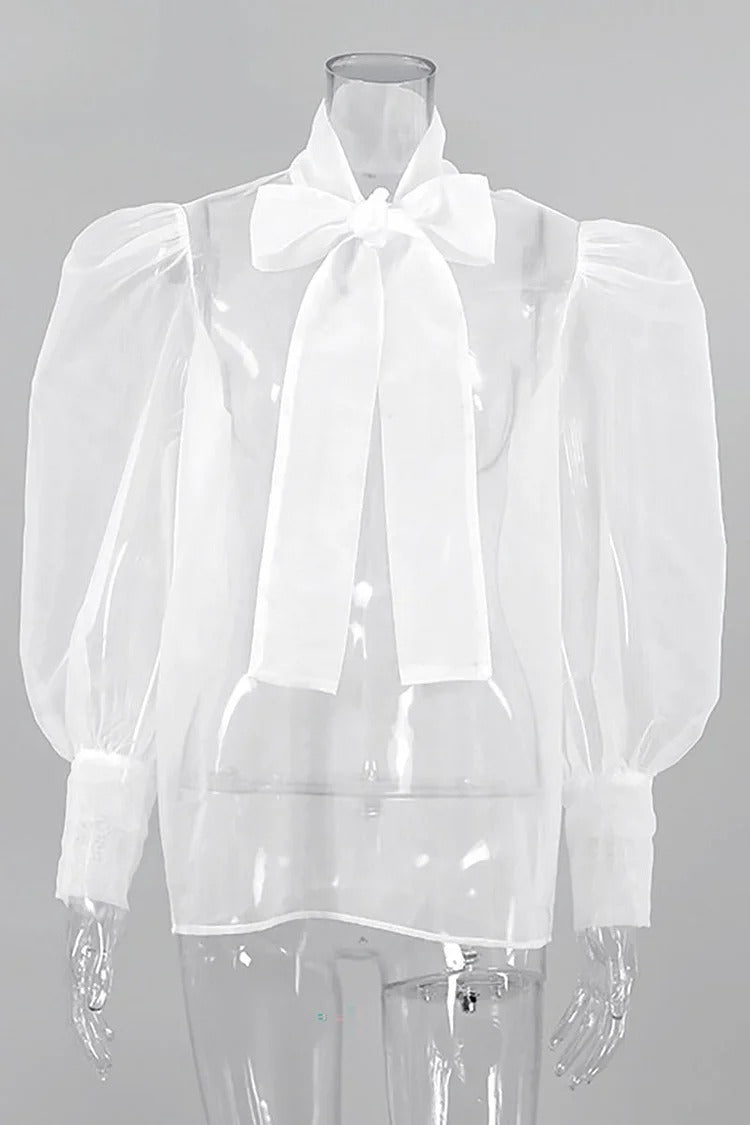 Blue Mesh Tie-Up Bow Lantern Sleeve Cover-Up Blouse - Isabella
