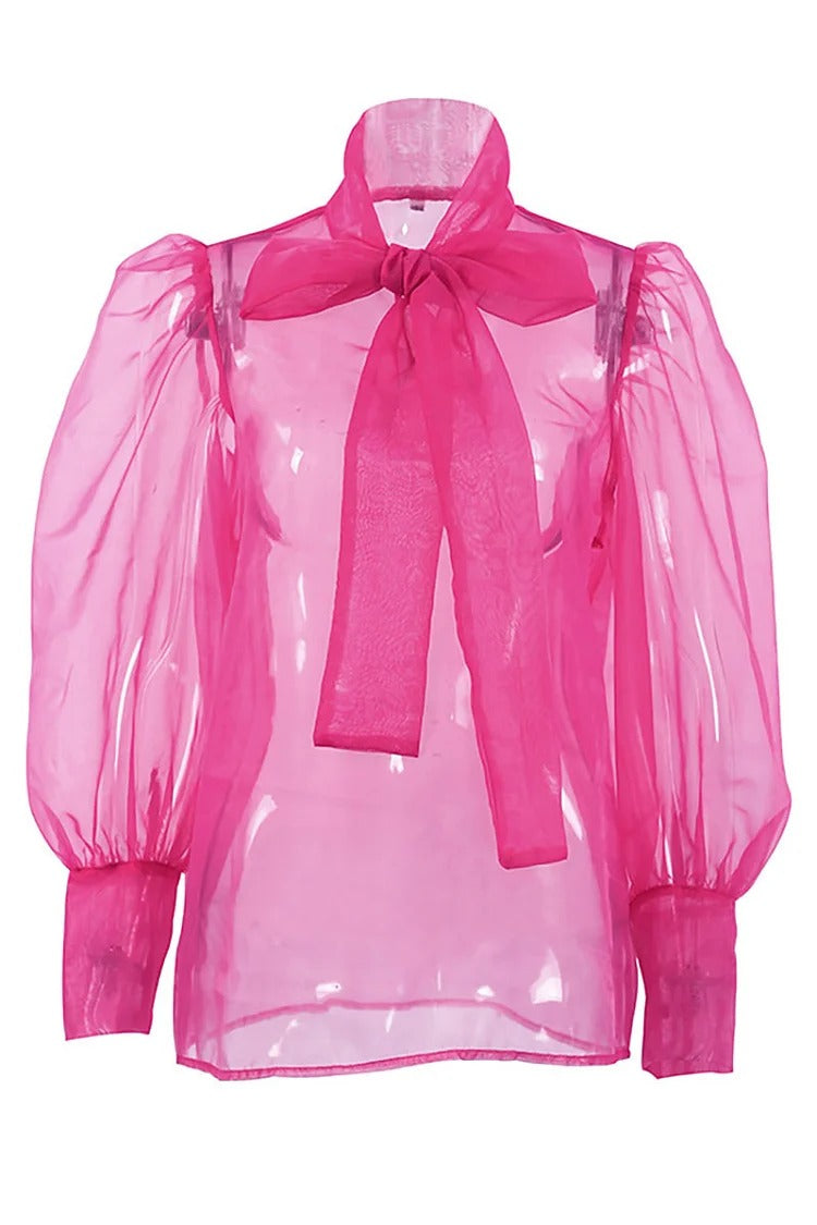 Blue Mesh Tie-Up Bow Lantern Sleeve Cover-Up Blouse - Isabella