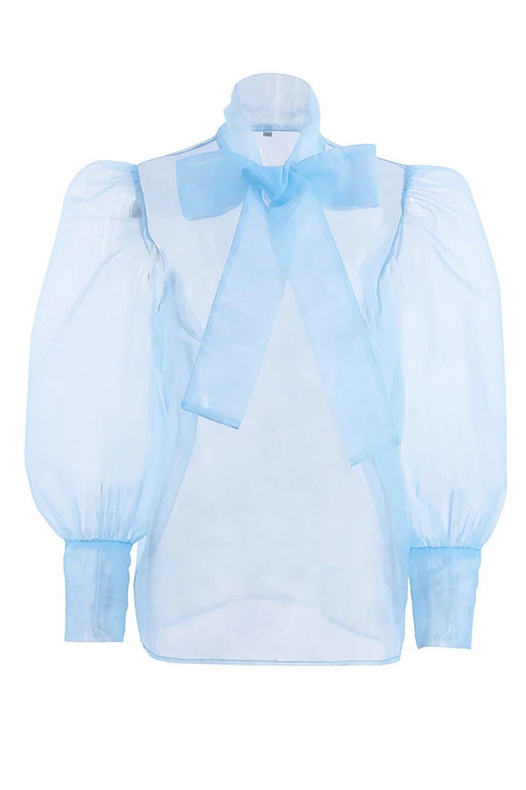 Blue Mesh Tie-Up Bow Lantern Sleeve Cover-Up Blouse - Isabella