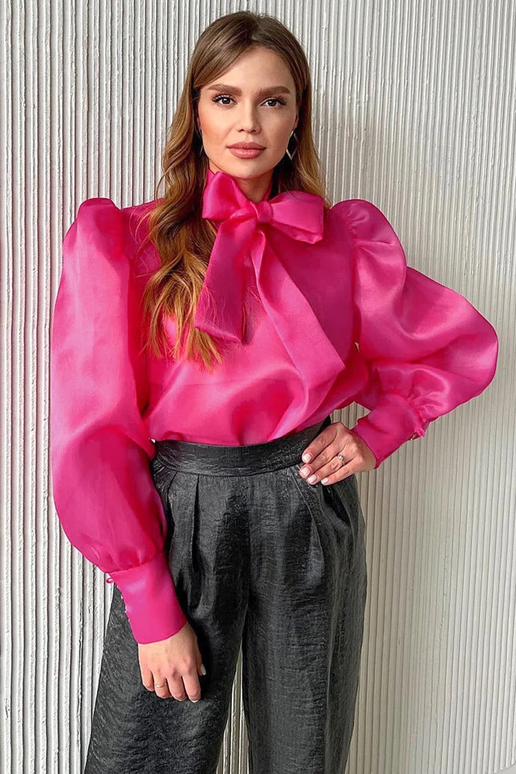 Blue Mesh Tie-Up Bow Lantern Sleeve Cover-Up Blouse - Isabella
