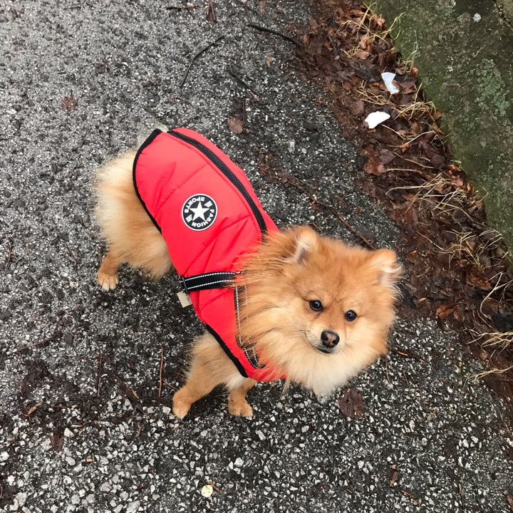 Puppy Puffer® - Geïsoleerde Honden Jas + Gratis Hondenriem