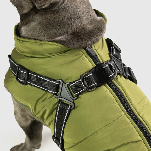 Puppy Puffer® - Geïsoleerde Honden Jas + Gratis Hondenriem